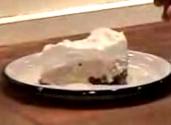 Frozen Mud Pie